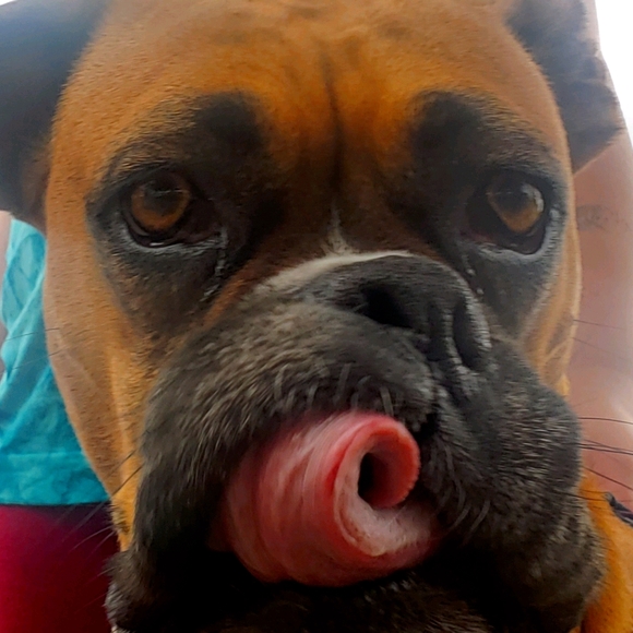 Meet your Posher, Richelle - Picture 1 of 4